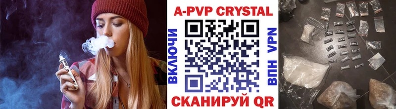 Alfa_PVP СК Елец