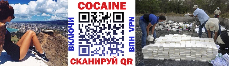 Cocaine FishScale  Купить закладки  Елец 