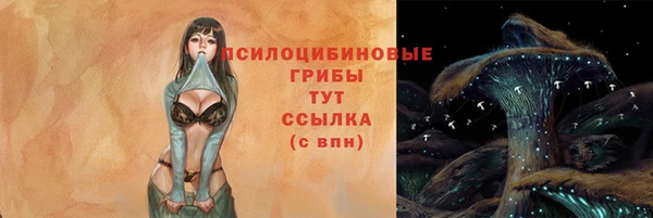 a pvp Бородино