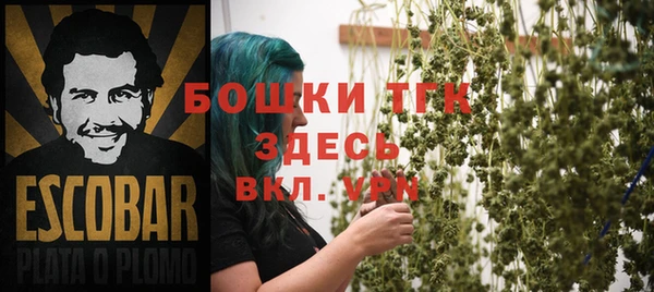 a pvp Бородино