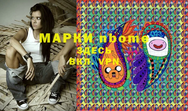 a pvp Бородино