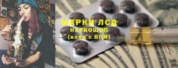 a pvp Бородино
