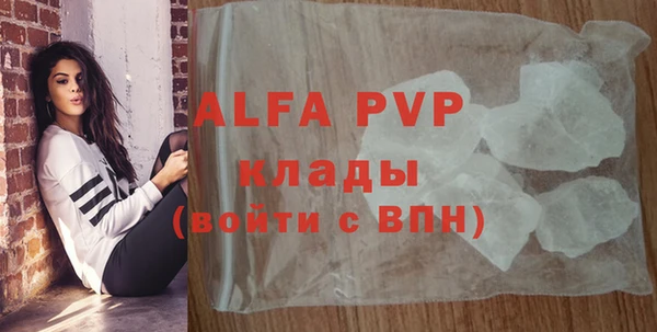 a pvp Бородино