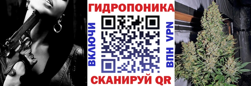 Бошки марихуана семена  Купить где  Елец 
